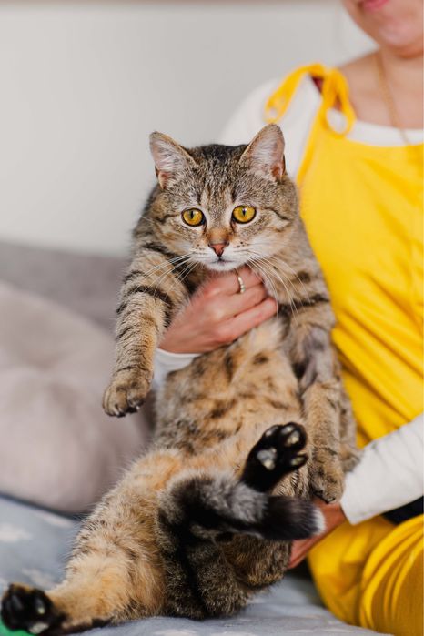 Dwu letnia Bunia szuka domu!