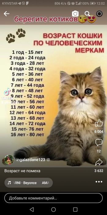 Лікар ветеринарної медицини
