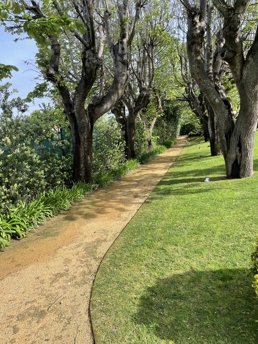 Jardinagem/ limpeza de terrenos/ Abates / limpezas de condominios