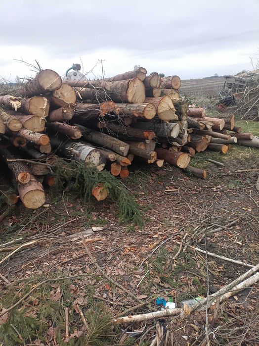 Drewno opałowe metry okazja
