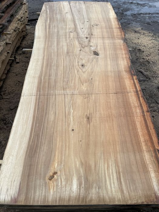 Szerokie monolity blaty brusy topolowe 120cm deski drewniane topola