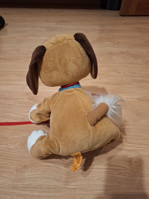 Piesek maskotka Boogie