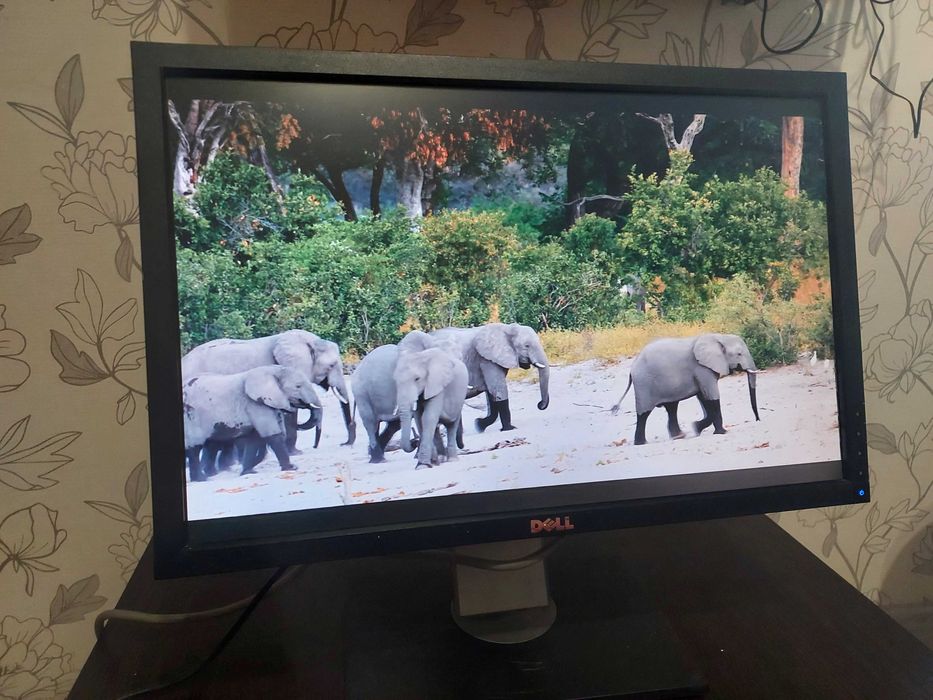 Монітор Dell P2210.