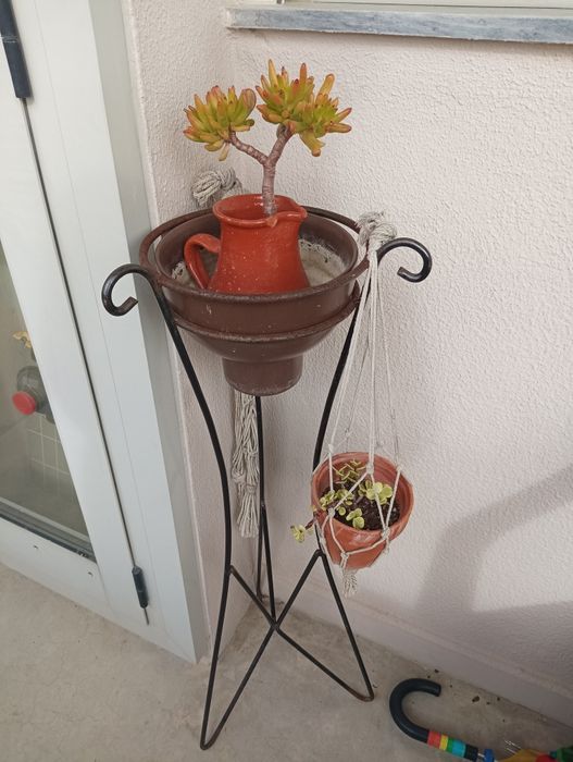 Plantas e suporte
