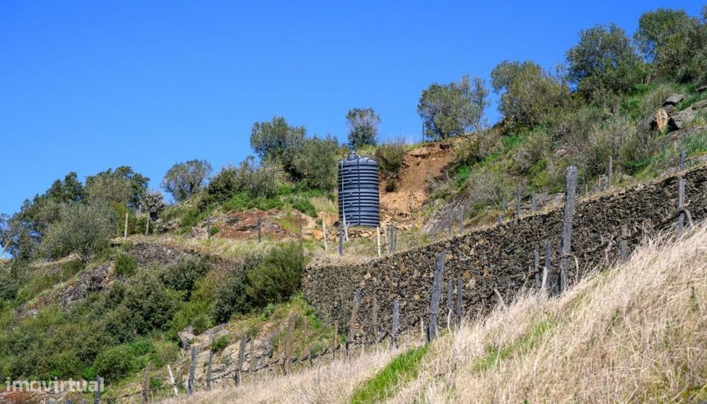 Quinta vínicola à venda no Peso da Régua no Douro Valley