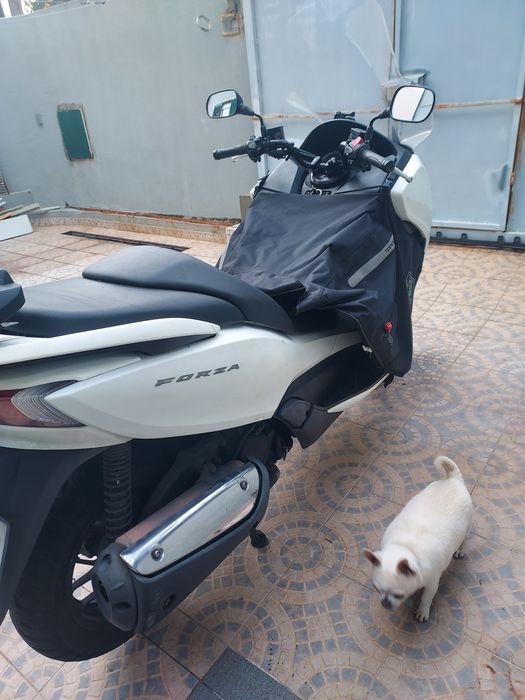 Honda Forza 300 Em bom estado