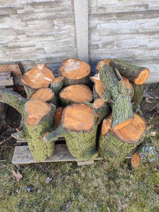 Drewno do wędzenia ( grusza )