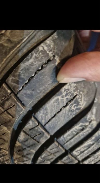 Opony całoroczne Goodyear 205/55R16