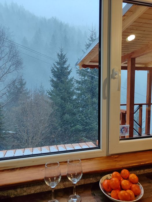 Відпочинок, котедж в Карпатах