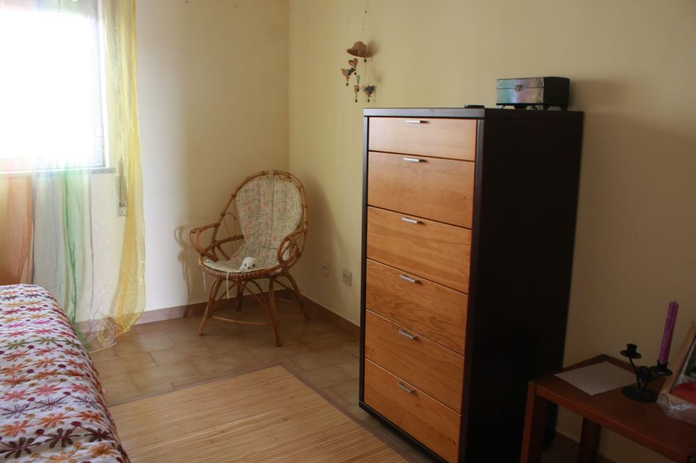 Camiseiro em wenge e Faia