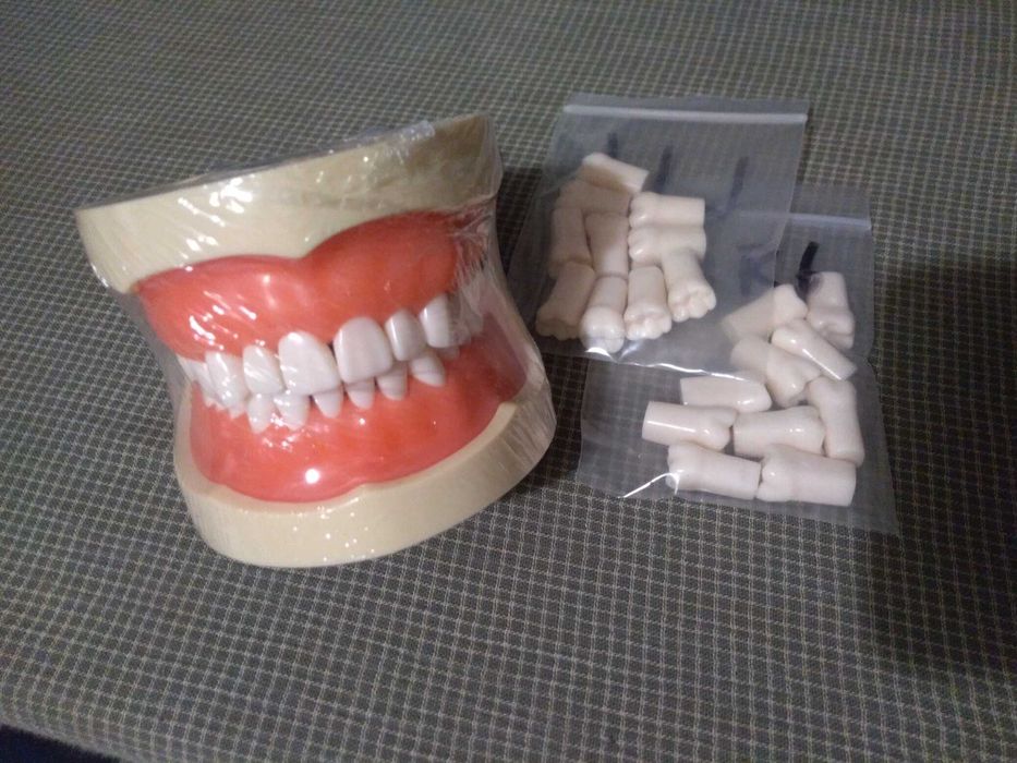 Frasaco estudo Medicina Dentária e outros - novos