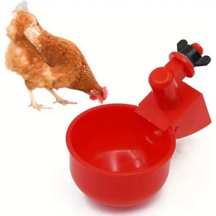 Поилка для птицы.