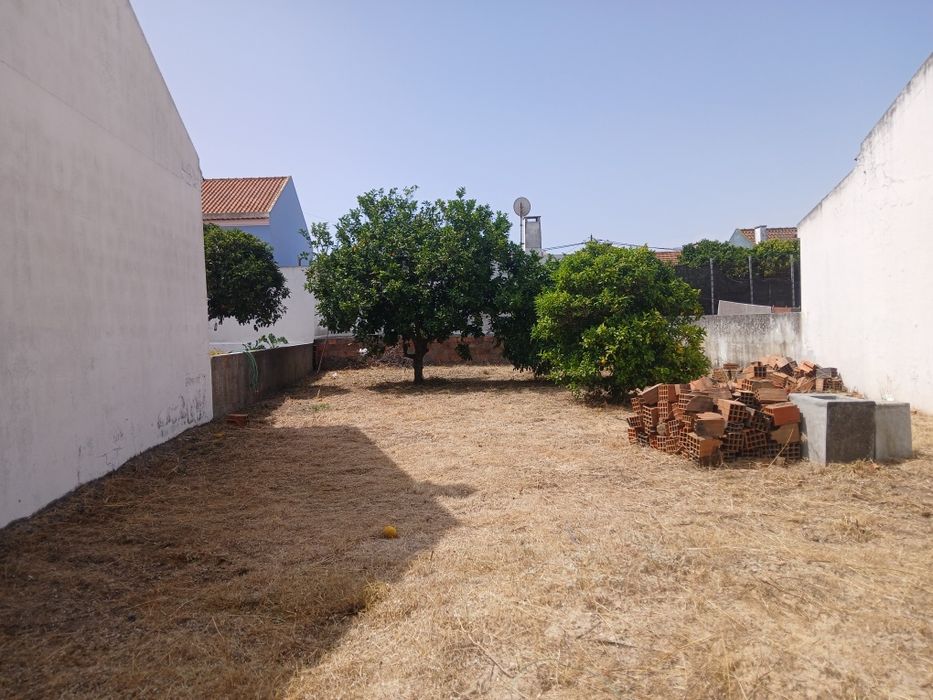 Limpeza de terrenos e manutenção jardins