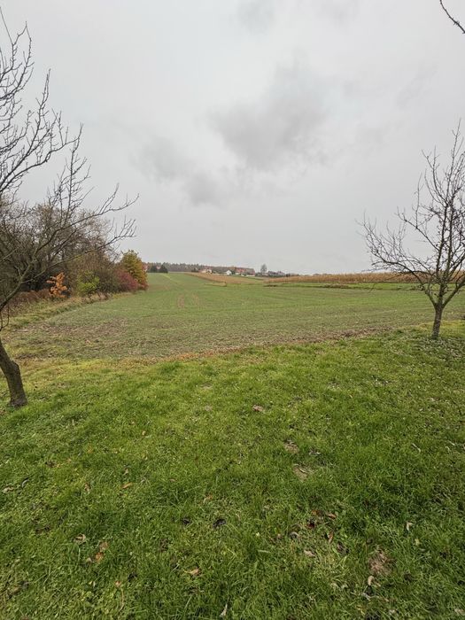 Dzialka rolna  35 arow