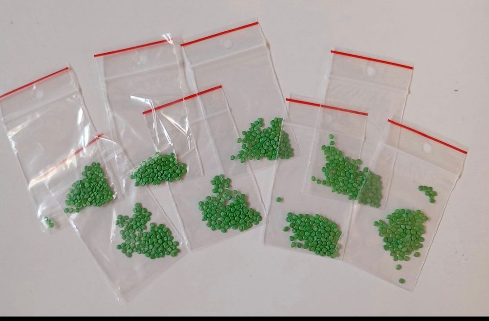 Pomidor DYNO F1 Clause