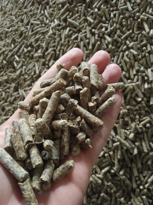 Wysłodki buraczane melasowane NON GMO Werbkowice