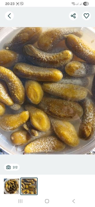 Огірки    солоні