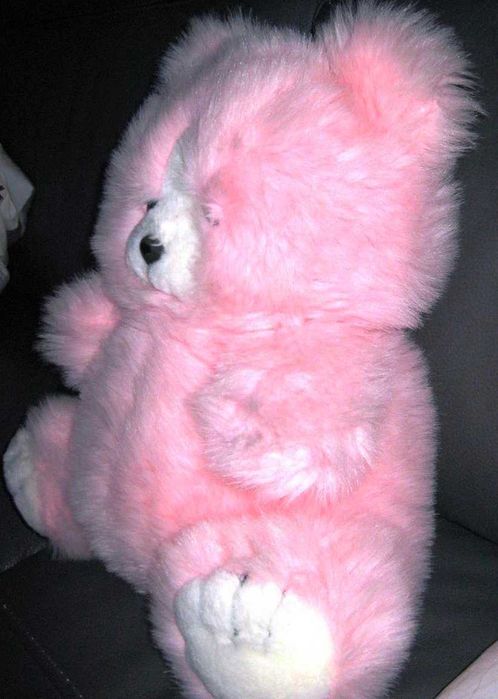 Urso Peluche Muito Fofo - Oferta de Portes