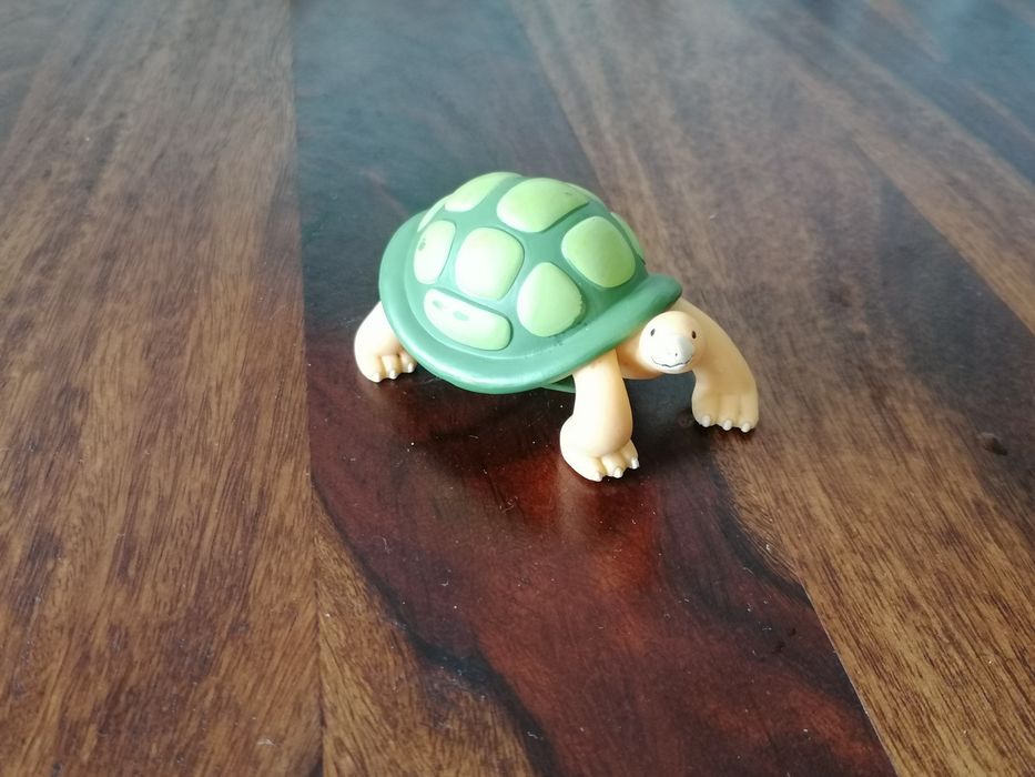 Coleção Os Meus Animais do Zoo