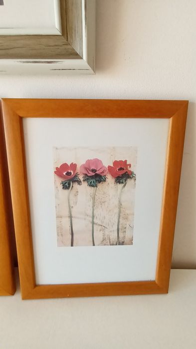 Conjunto de 4 gravuras