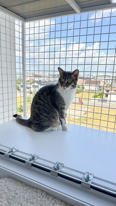 Затишний прямокутний балкончик на одну стулку з 1 поверхом