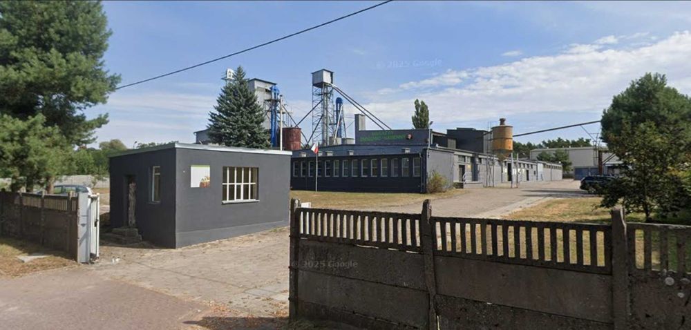 Jęczmień Paszowy czyszczony Ekstra!