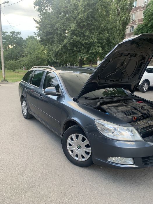 Skoda Octavia 2009 VIN TMBHA61Z4A8009917 фото оголошення 19 з 24