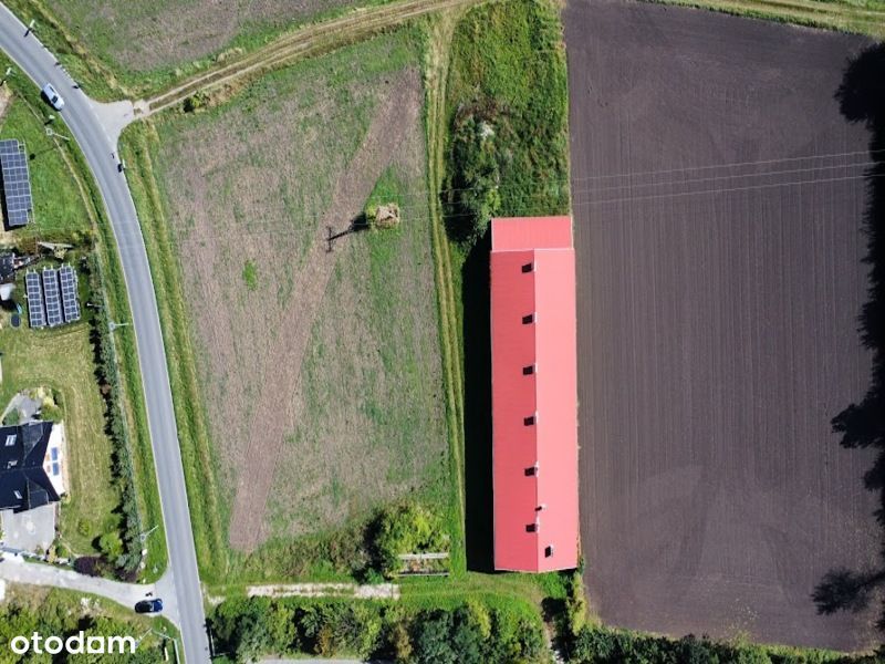 Działka usługowa Siechnice