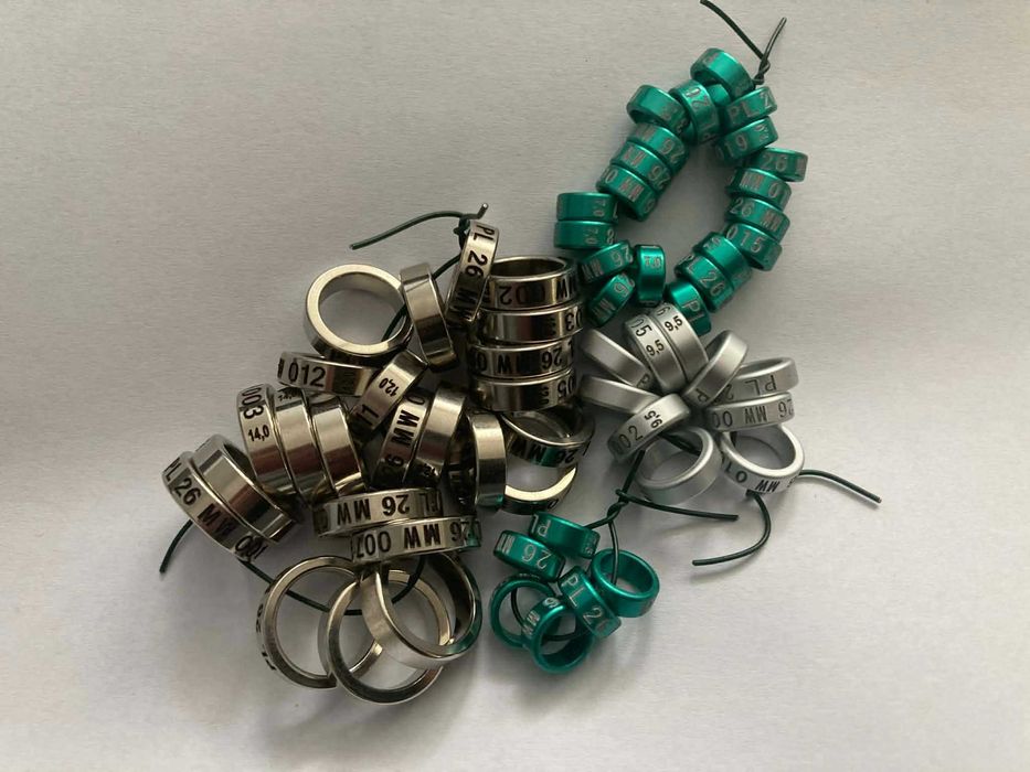 Obrączki kanarek, papugi, ptaki 2026 Twój CIH, sygnym, inicjał