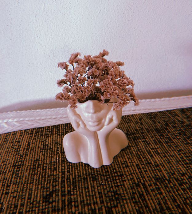 Vaso elegante Senhora