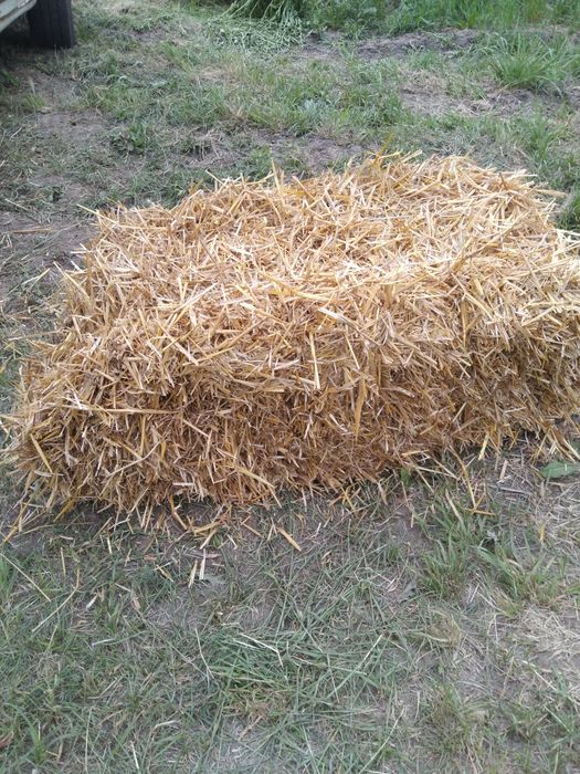 Продам сено в тюках луговое вес 18 + кг