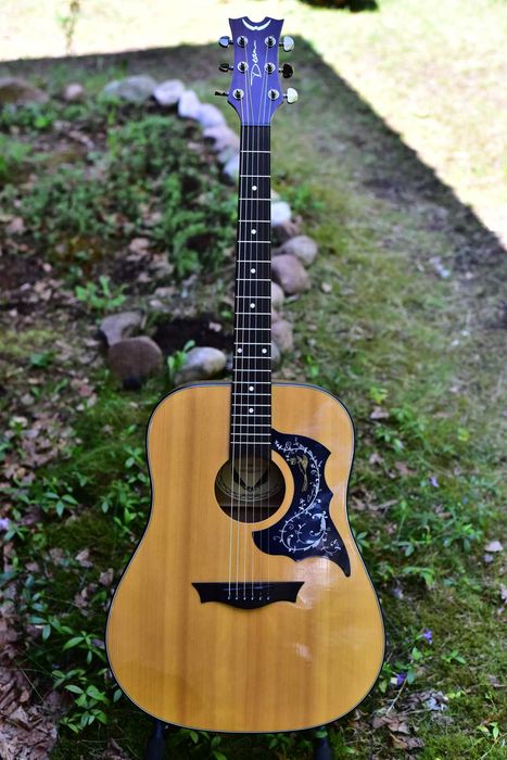 Gitara akustyczna Dean AXDGN