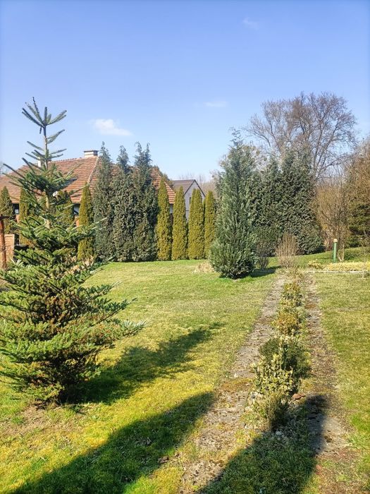 Działka budowlana w Pyskowicach