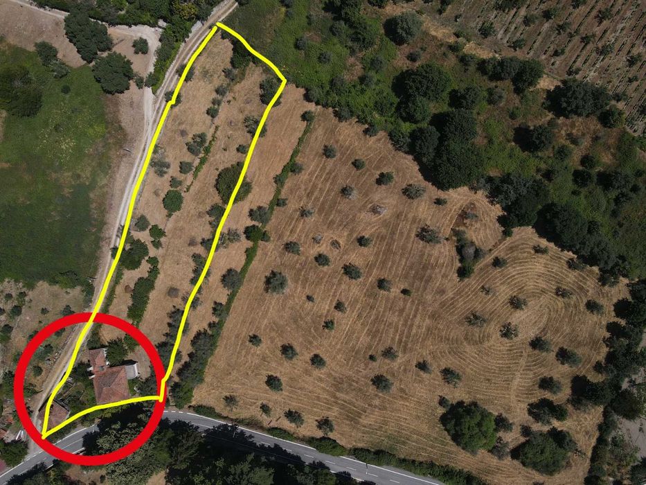 Quinta com Moradia em Mangualde