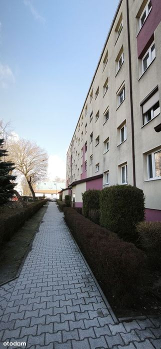 Mieszkanie, Leszno