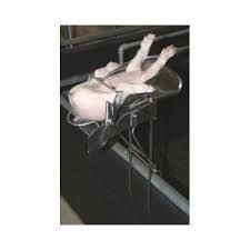 Stojak do kastracji prosiat