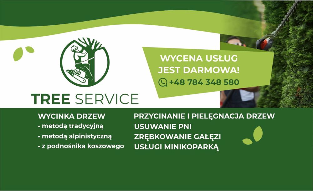 Wycinka drzew Włocławek, Toruń, Płock