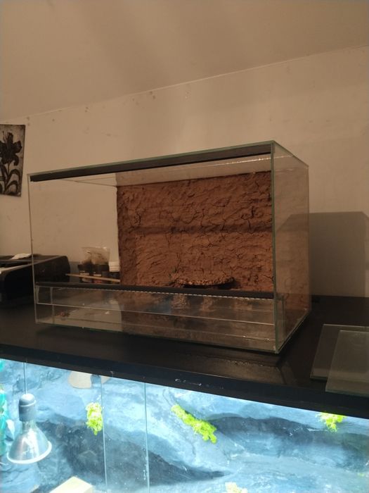 Sprzedam terrarium o wymiarach 50 × 30 × 30 cm