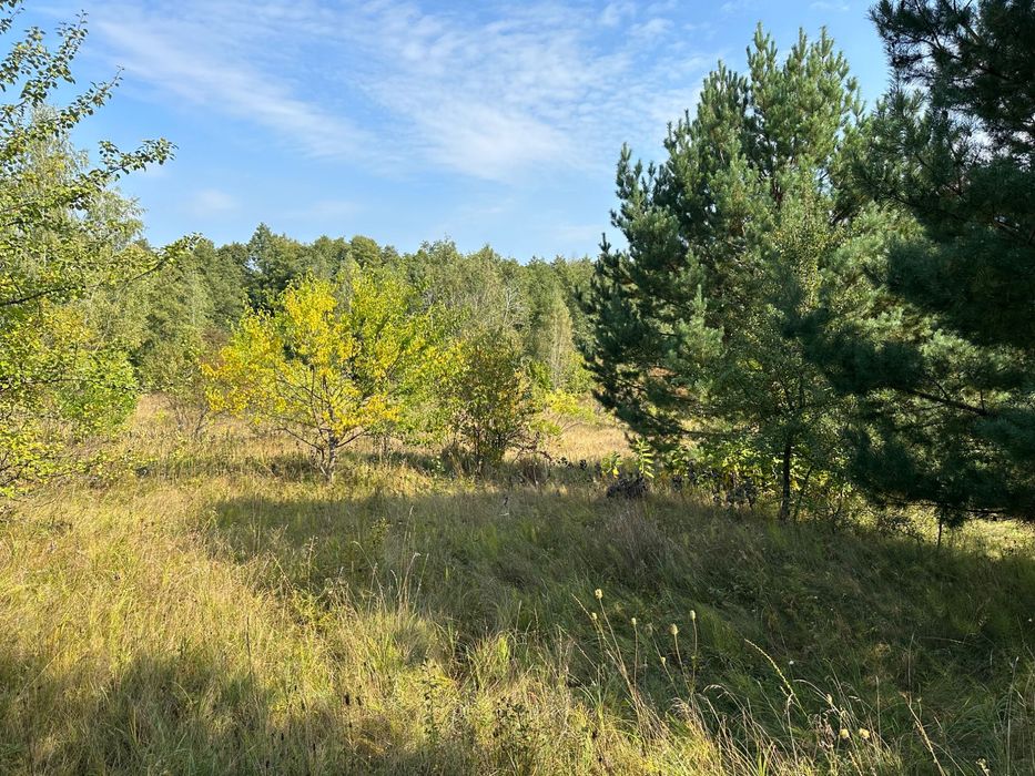 Продаю 5 га під будівництво біля лісу. Місце для усамітнення.