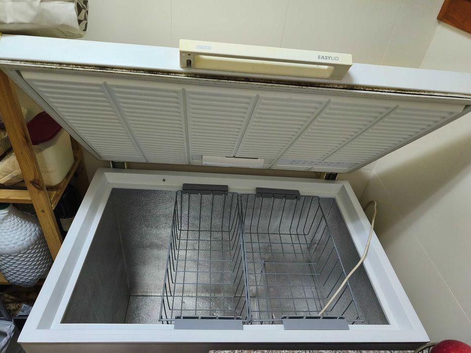 Arca congeladora Zanussi 260L