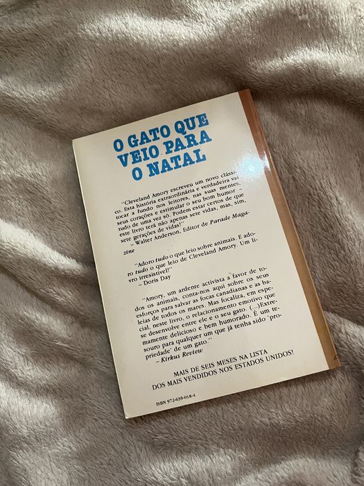 O Gato que Veio para o Natal