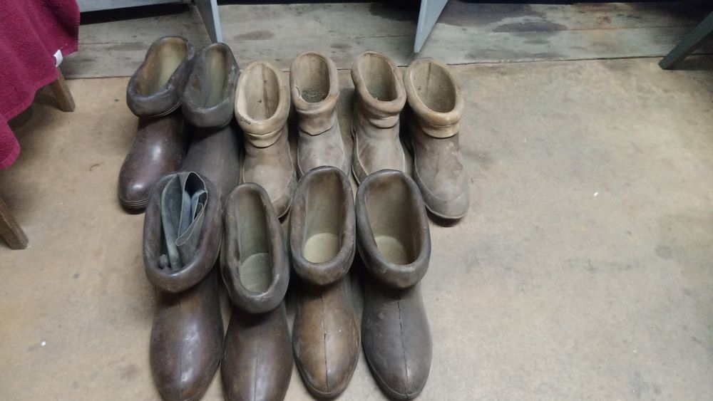 Боти діелектричні