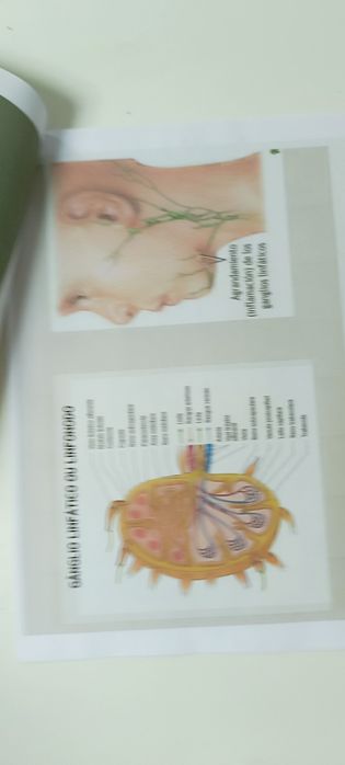 Manual de Drenagem Linfática usado