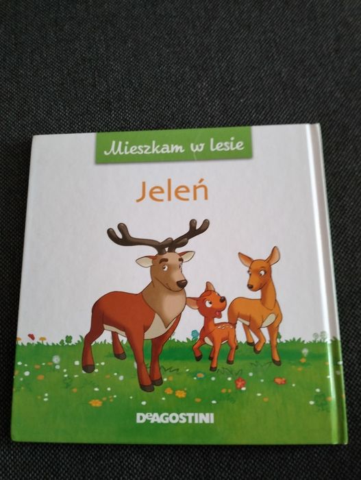 Książeczka Mieszkam w lesie Jeleń