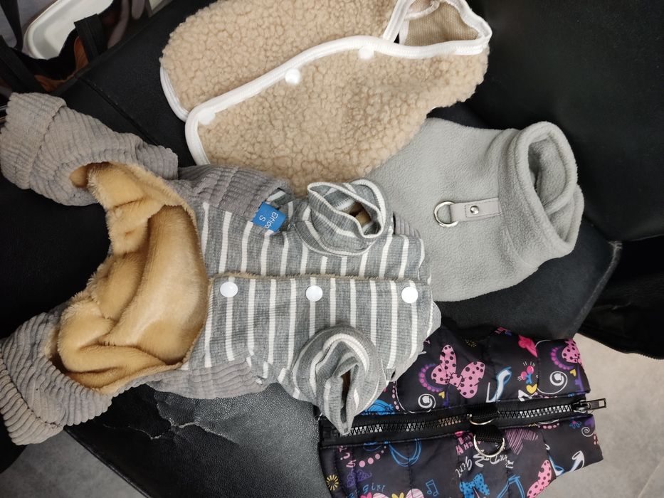 Одежда для собак