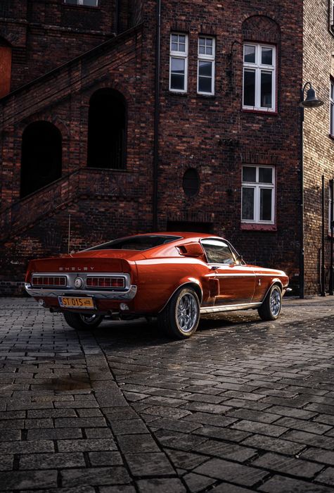 Samochód do Ślubu / Imprezy Okolicznościowe  MUSTANG 1967 SHELBY GT500