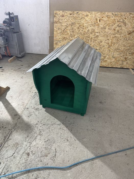 Буда для песика)