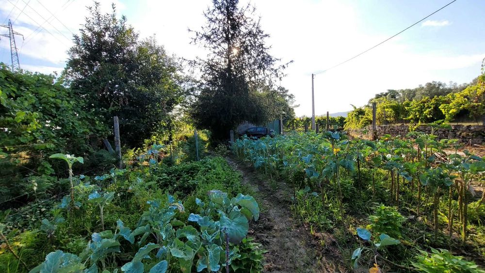 Arrenda-se terreno agrícola com armazém