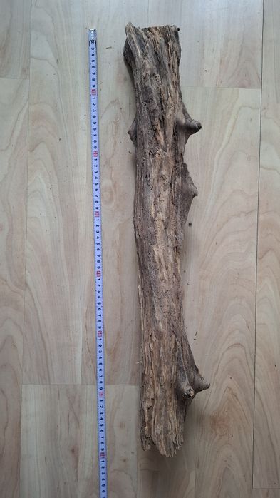 Wyposażenie terrarium, konar, drapak