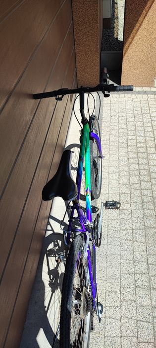 Rower Colorado Alu 26